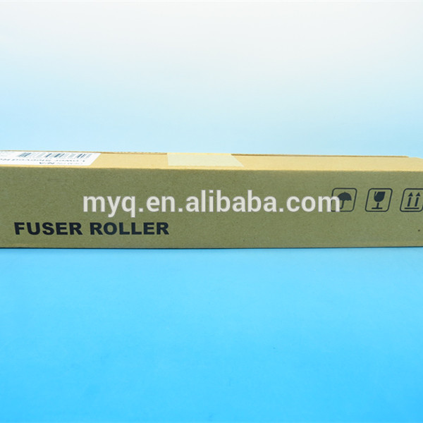 MYQ 072.jpg